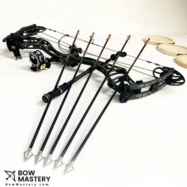 Compound bow with 5 arrows