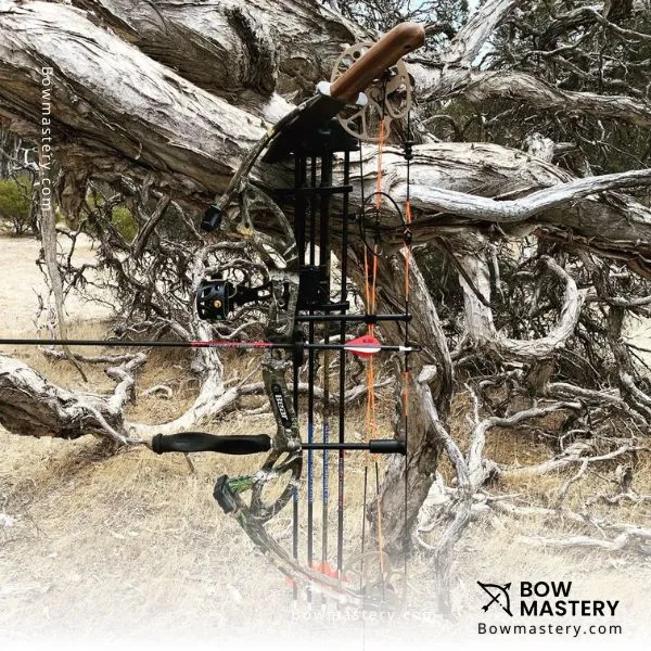 Bear Archery Cruzer G2 Left:Right Hand Bow - Best Beginner Compound Bow For Adults