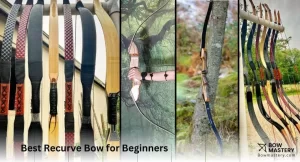 best recurve bow for beginners