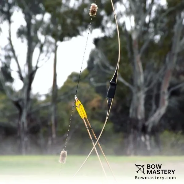 a recurve bow standing