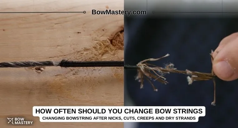 how often should you change bow strings