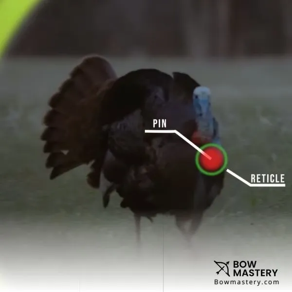 how to shoot a compound bow with sight