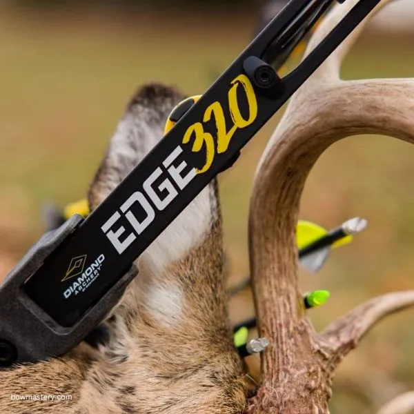 Diamond Archery Edge 320 - best compound bows for deer hunting