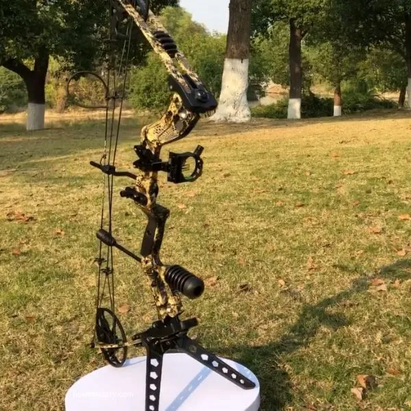 Wuxlisity best bow for hunting
